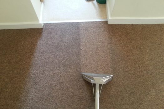 How Would You Choose The Reliable Carpet Cleaning Professional Services?