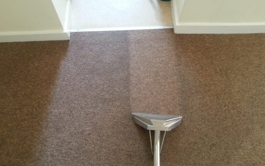 How Would You Choose The Reliable Carpet Cleaning Professional Services?