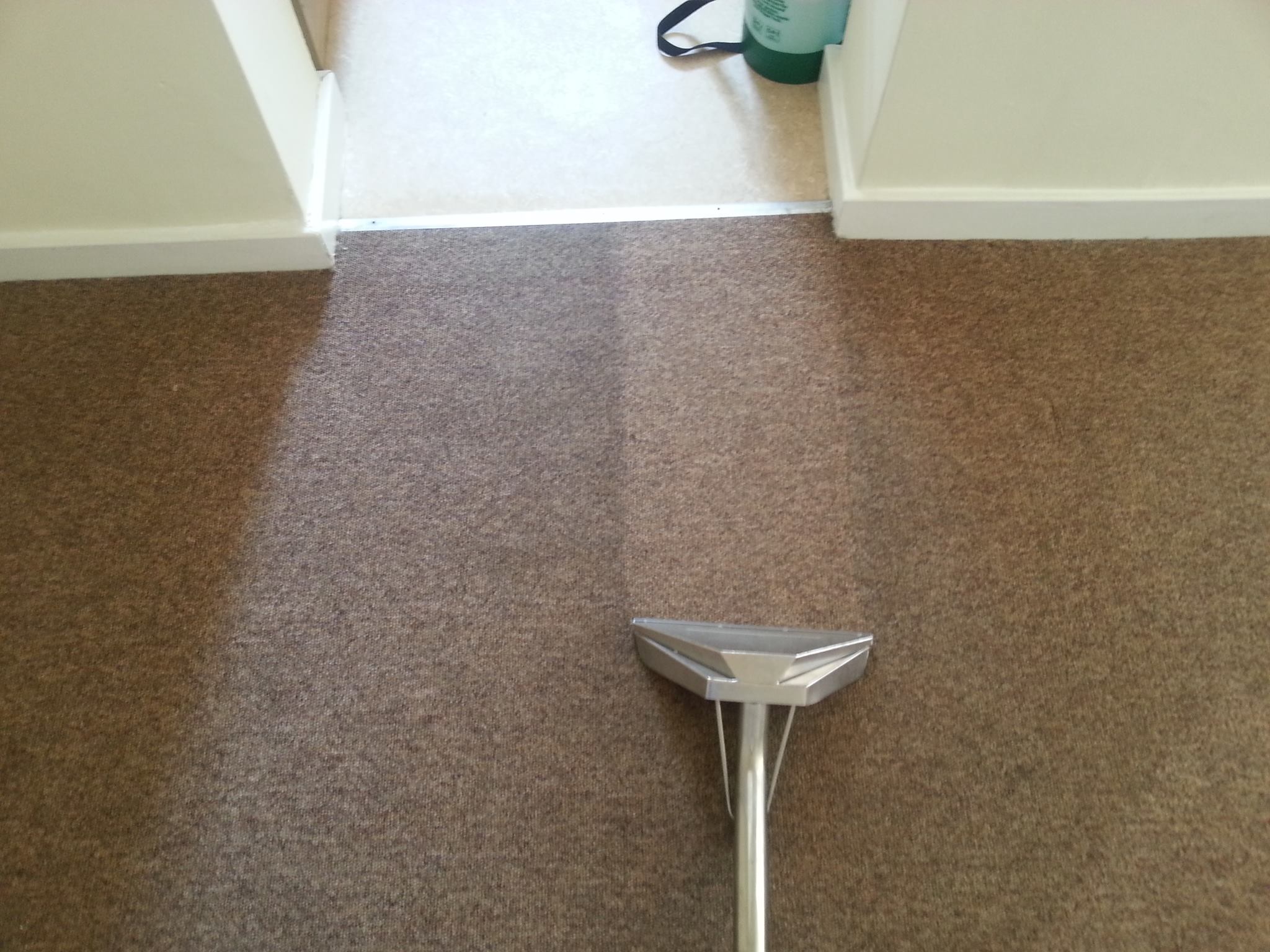 How Would You Choose The Reliable Carpet Cleaning Professional Services?